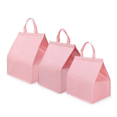 Foldable Insulated Non Woven Lunch Bag