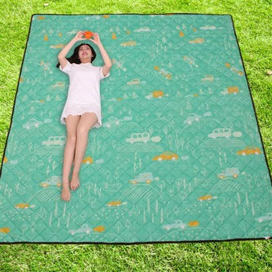 Foldable Padded Puam Mat