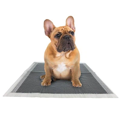 Pee Pad Petsmart